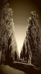 fotografii cu filter sepia